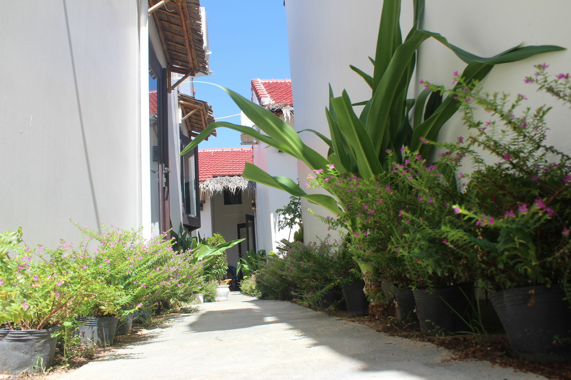 Lido Villa Hoi An Bagian luar foto