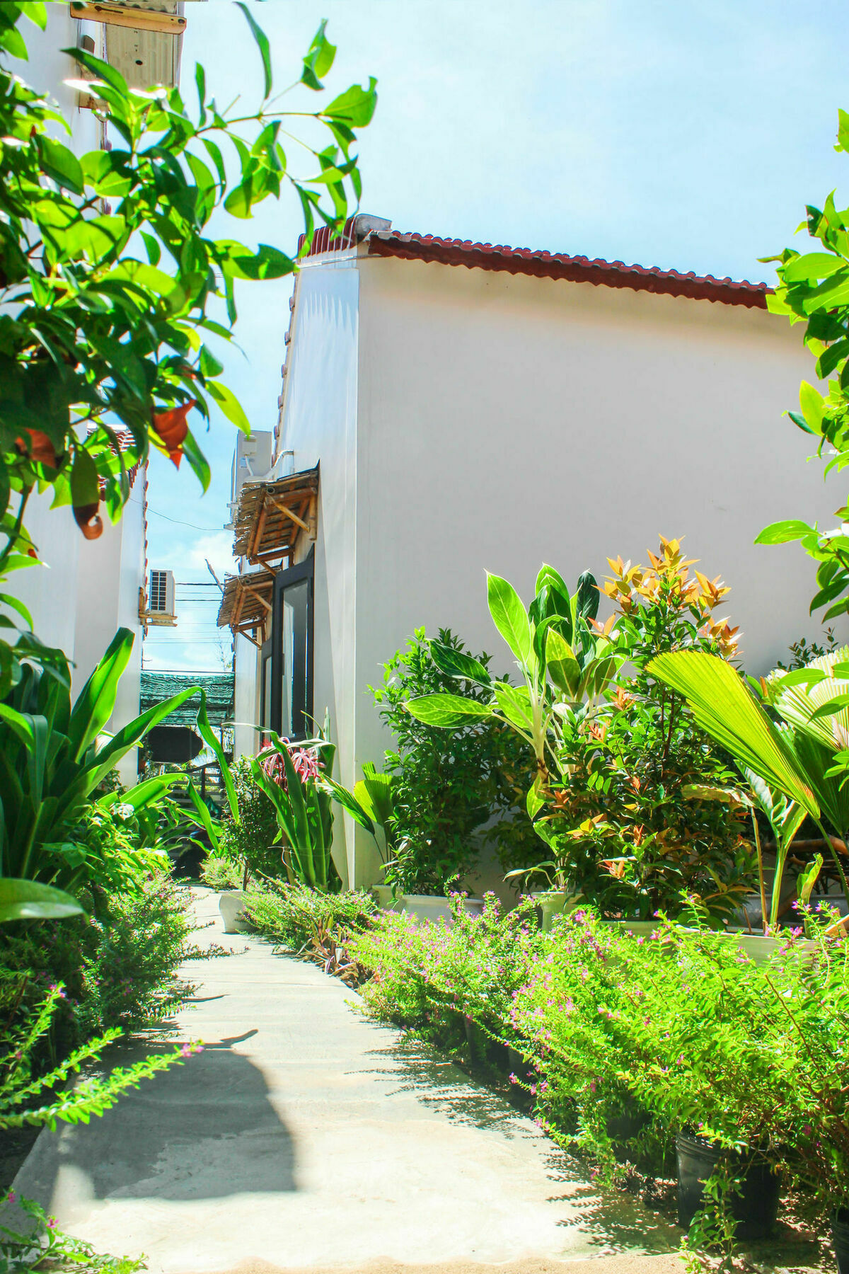 Lido Villa Hoi An Bagian luar foto