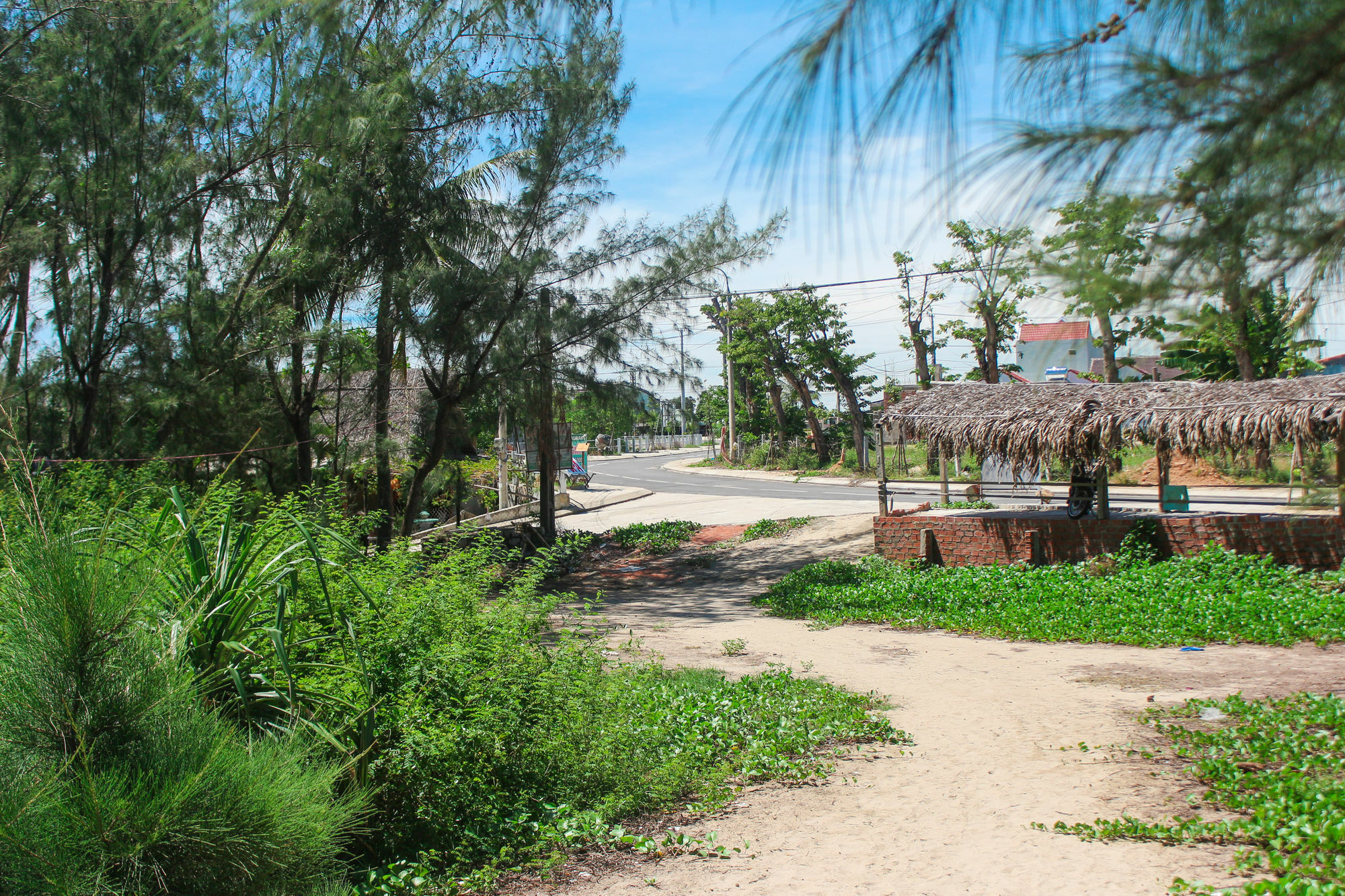 Lido Villa Hoi An Bagian luar foto